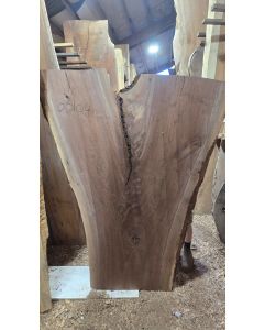 Black Walnut 