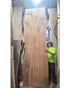 Western Red Cedar