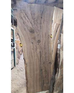 Black Walnut