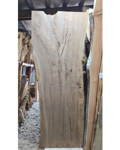 Black Walnut 