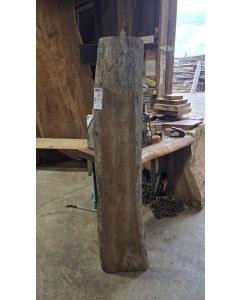 Black Walnut 