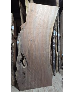 Black Walnut 