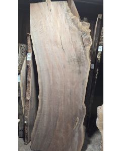 Black Walnut 