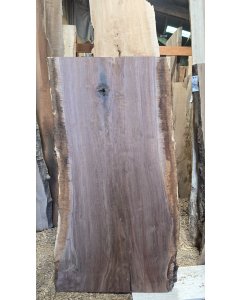 Black Walnut 