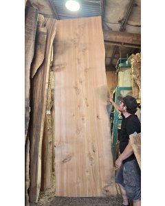 Western Red Cedar