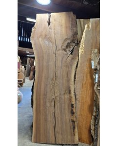 Black Walnut