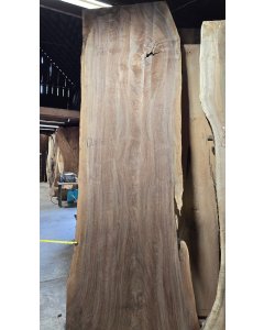 Black Walnut 