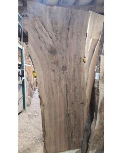 Black Walnut