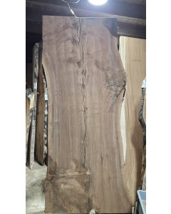 Black Walnut
