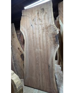 Black Walnut 