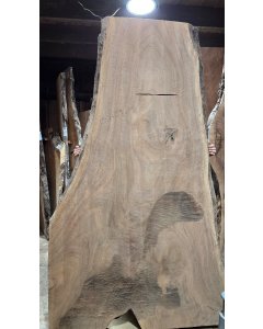 Black Walnut