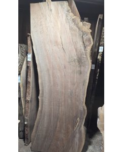 Black Walnut 