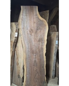 Black Walnut 