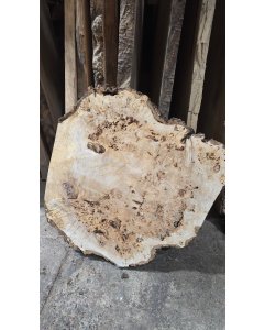Cottonwood Burl 