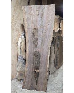 Black Walnut 