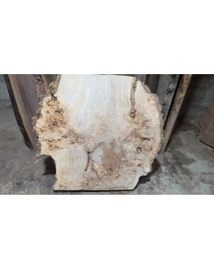 Cottonwood Burl