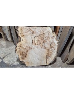 Cottonwood Burl
