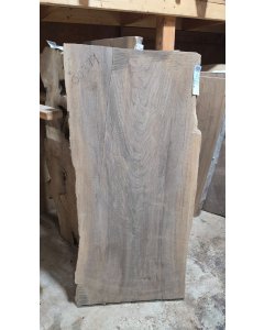 Black Walnut 