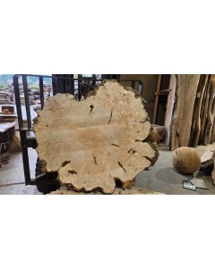 Big Leaf Maple Burl 