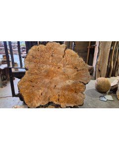 Big leaf Maple Burl 