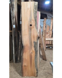 Cedar
