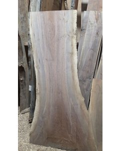 Black Walnut