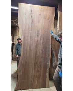 Black Walnut