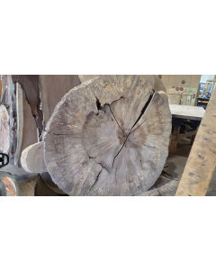 Poplar Burl