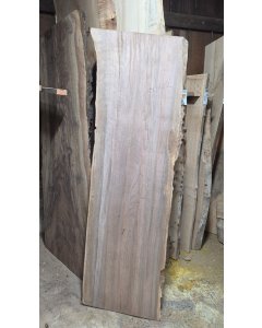 Black Walnut