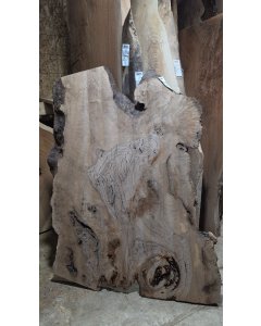 Bastogne Walnut