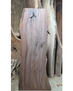 Black Walnut