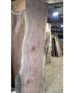 Black Walnut 