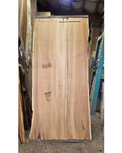 Cedar