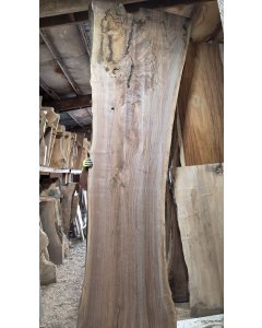 Black Walnut