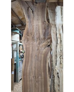 Black Walnut