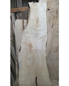 Birch