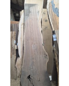 Black Walnut