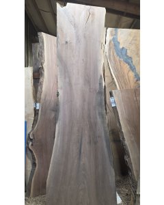 Black Walnut