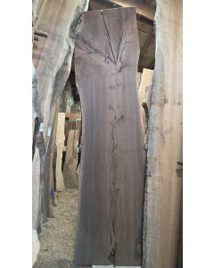 Black Walnut