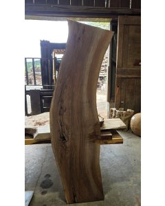 Black Walnut