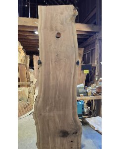 Black Walnut