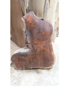 Black Walnut 