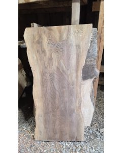 Black Walnut 