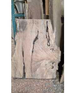 Big Leaf Maple