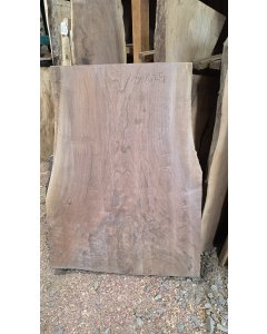 Black Walnut