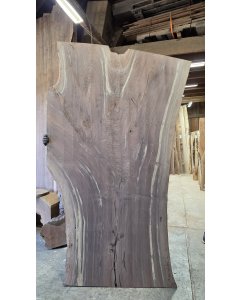 Black Walnut