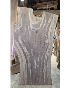 Black Walnut
