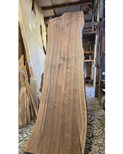 Black Walnut
