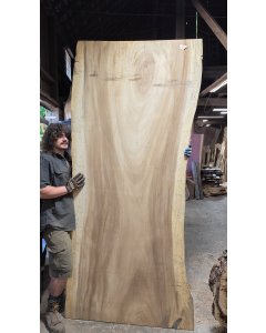 Monkeypod