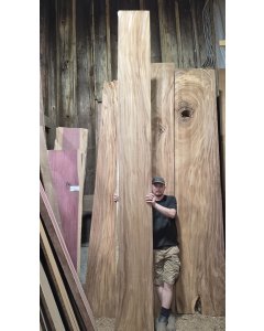 Monkeypod